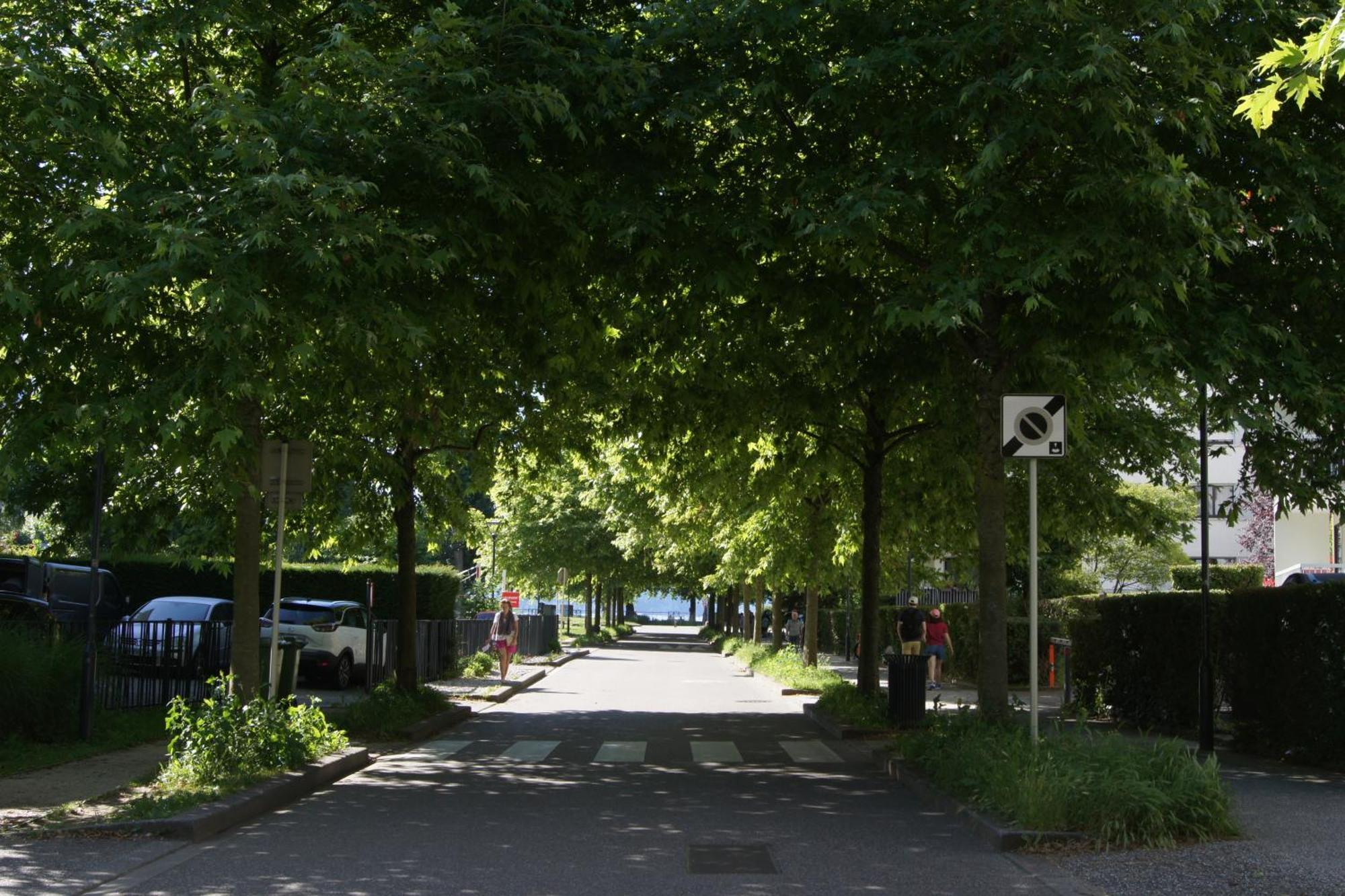 Apartament Studio Albigny A 200 M Du Lac D'Annecy Zewnętrze zdjęcie